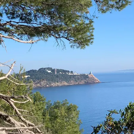 Calme 4 Personnes 400 M De La Sur La Presqu'ile De St Mandrier Proche Toulon