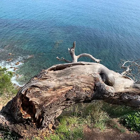 아파트 Calme 4 Personnes 400 M De La Sur La Presqu'ile De St Mandrier Proche Toulon