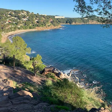 Calme 4 Personnes 400 M De La Sur La Presqu'ile De St Mandrier Proche Toulon *